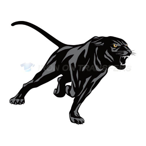 Prairie View A M Panthers Iron-on Stickers (Heat Transfers)NO.5920